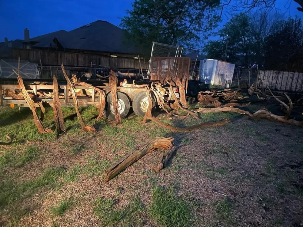 Reliable yard maintenance experts serving New Braunfels, TX - Tunik and Carter the Sage