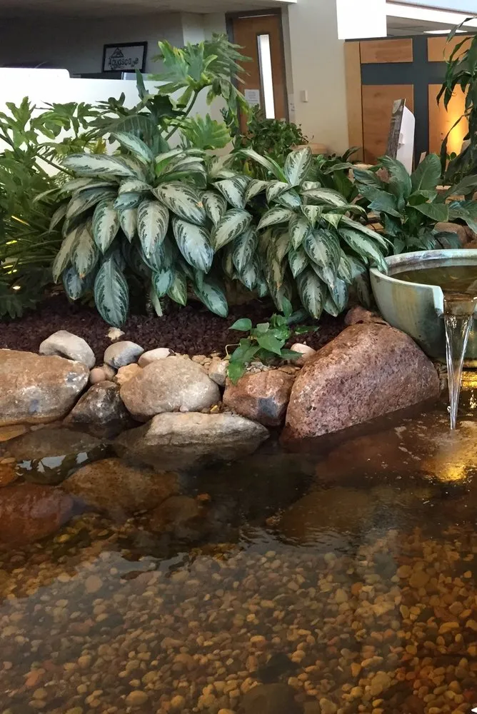 Custom yard cleanup service for beautiful yards across Peotone, IL - Tunzi and Sons Landscaping