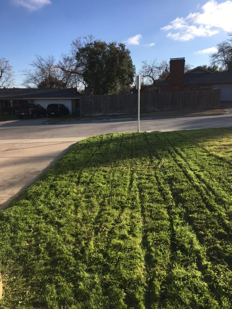 Professional residential landscaping in Fort Worth, TX by Turbo Cuts Lawn & Sod