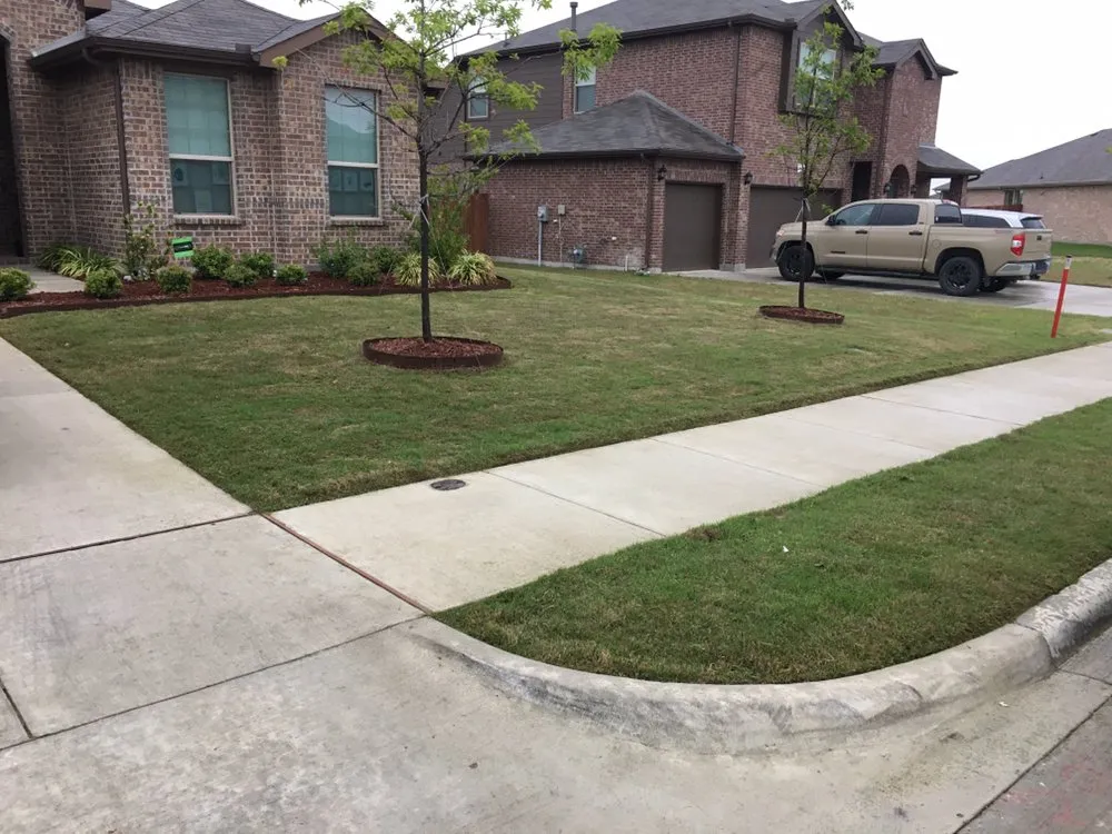 Professional yard cleanup service in Fort Worth, TX by Turbo Cuts Lawn & Sod