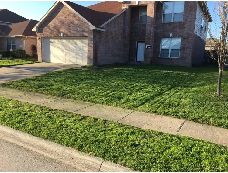 Local garden landscaping experts serving Fort Worth, TX - Turbo Cuts Lawn & Sod