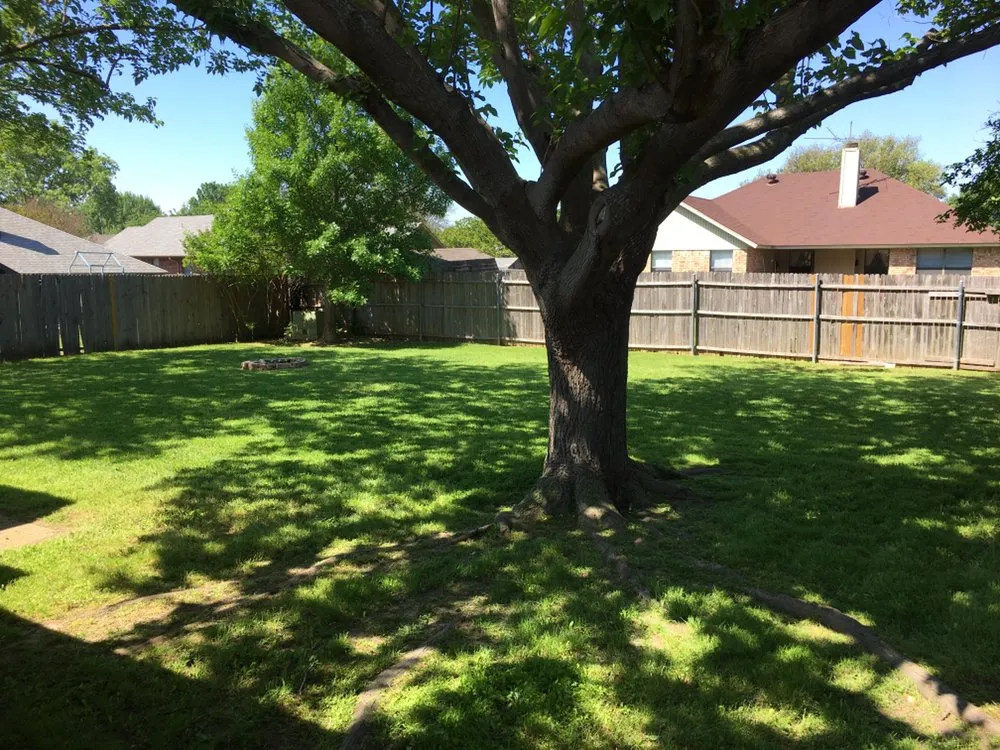 Professional lawn care service in Fort Worth, TX - Turbo Cuts Lawn & Sod