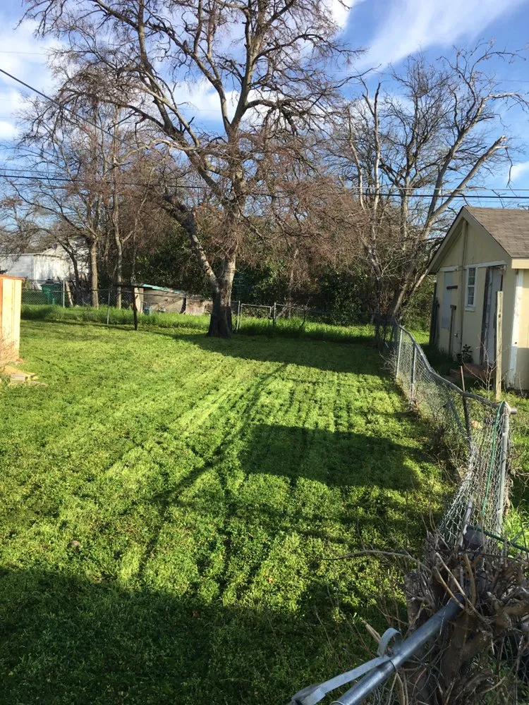 Professional residential landscaping in Fort Worth, TX - Turbo Cuts Lawn & Sod
