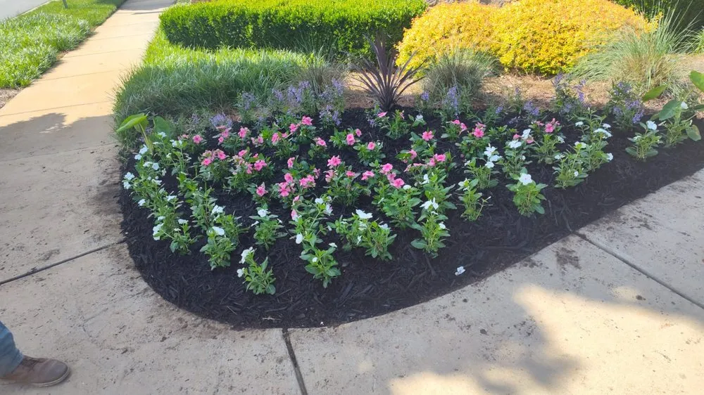 Professional residential landscaping in Matthews, NC by Turbo Green Lawn Care