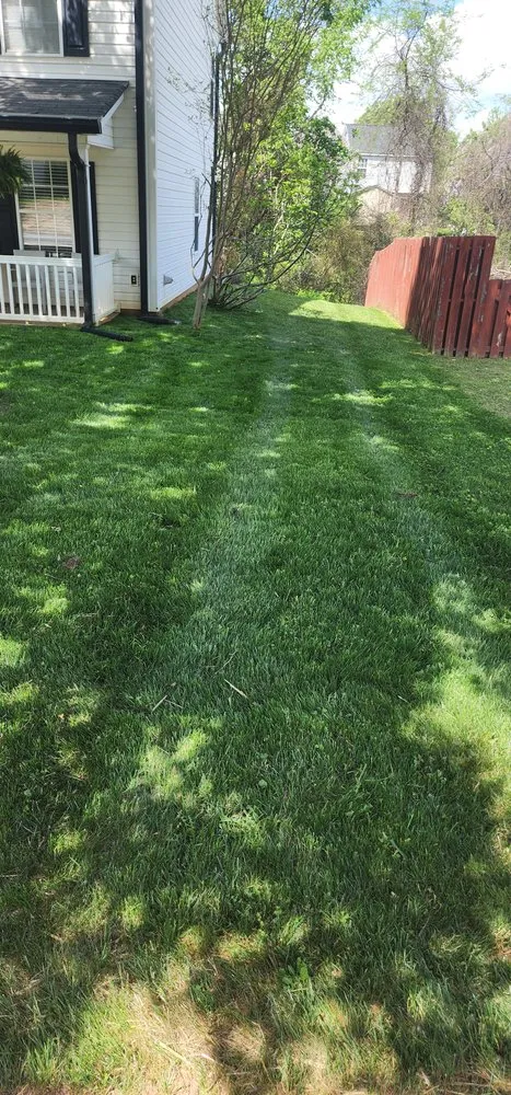 Professional landscape installation for beautiful yards across Matthews, NC - Turbo Green Lawn Care