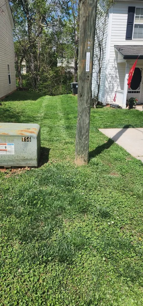 Professional yard maintenance in Matthews, NC - Turbo Green Lawn Care