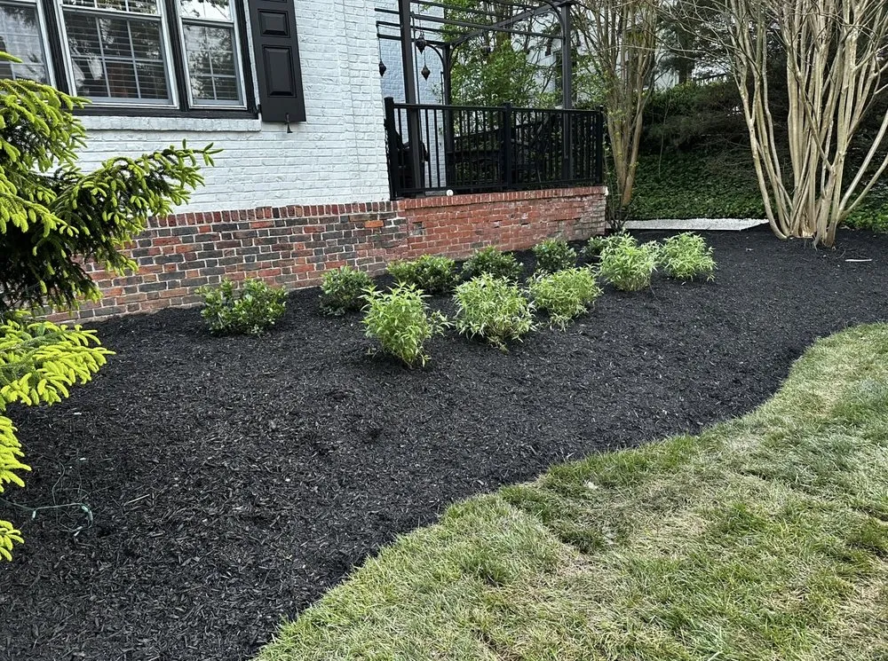 Reliable lawn mowing service in Elkins Park, PA - Turbo Lawn and Property Care