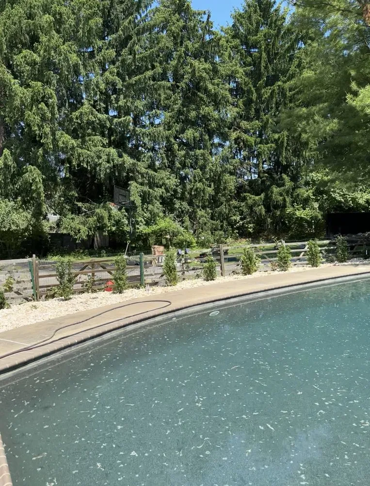 Custom yard cleanup service for homes across Elkins Park, PA - Turbo Lawn and Property Care