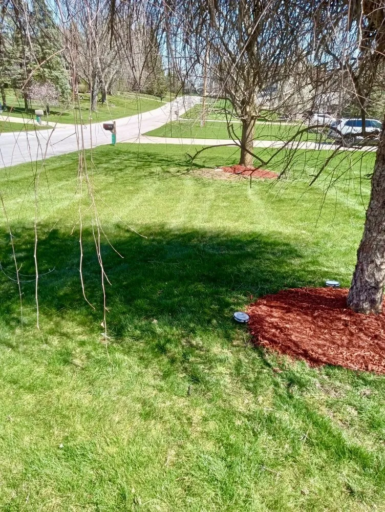 Top-rated landscape installation in Indianapolis, IN - Turbo Trim Landscaping