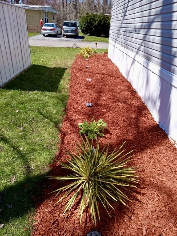 Trusted yard cleanup service in Indianapolis, IN - Turbo Trim Landscaping
