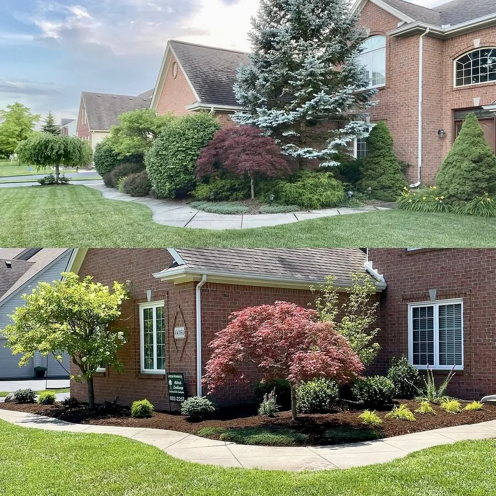 Top-rated lawn care service in Indianapolis, IN - Turbo Trim Landscaping