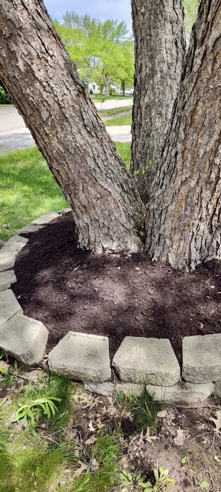 Top-rated residential landscaping in Indianapolis, IN - Turbo Trim Landscaping