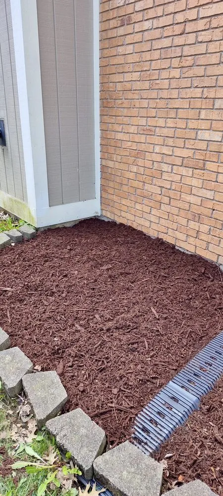 Trusted yard maintenance in Indianapolis, IN by Turbo Trim Landscaping