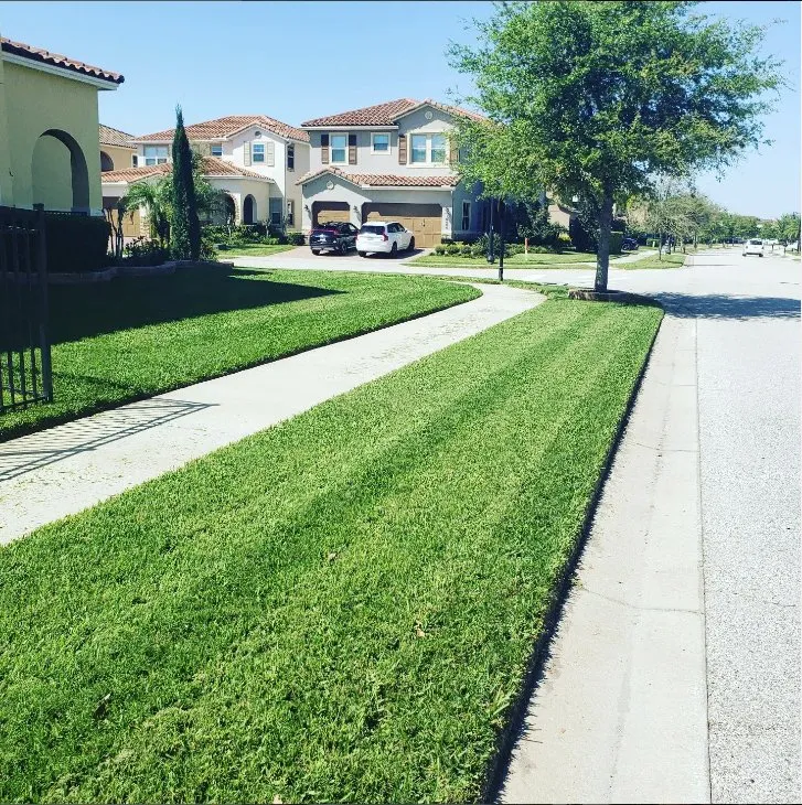 Local yard cleanup service in Orlando, FL - Turbo Turf Landscaping