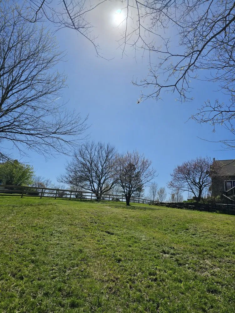 Reliable lawn care service in Lenexa, KS - Turbos Lawn Care