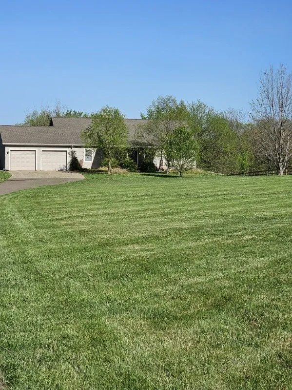Local lawn mowing service experts serving Lenexa, KS - Turbos Lawn Care