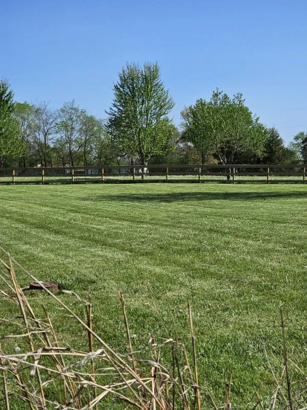 Custom lawn care service experts serving Lenexa, KS - Turbos Lawn Care