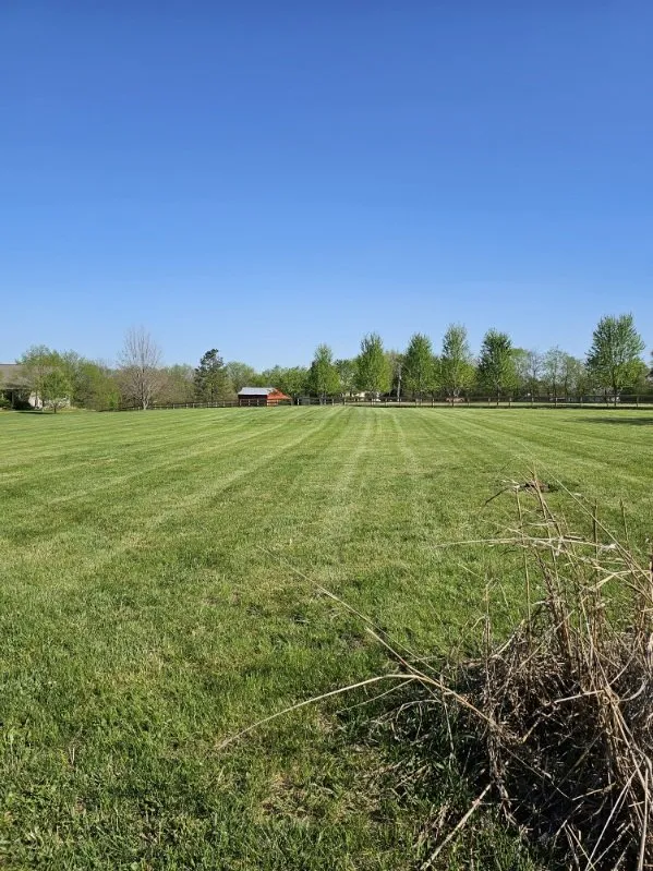 Custom yard maintenance experts serving Lenexa, KS - Turbos Lawn Care