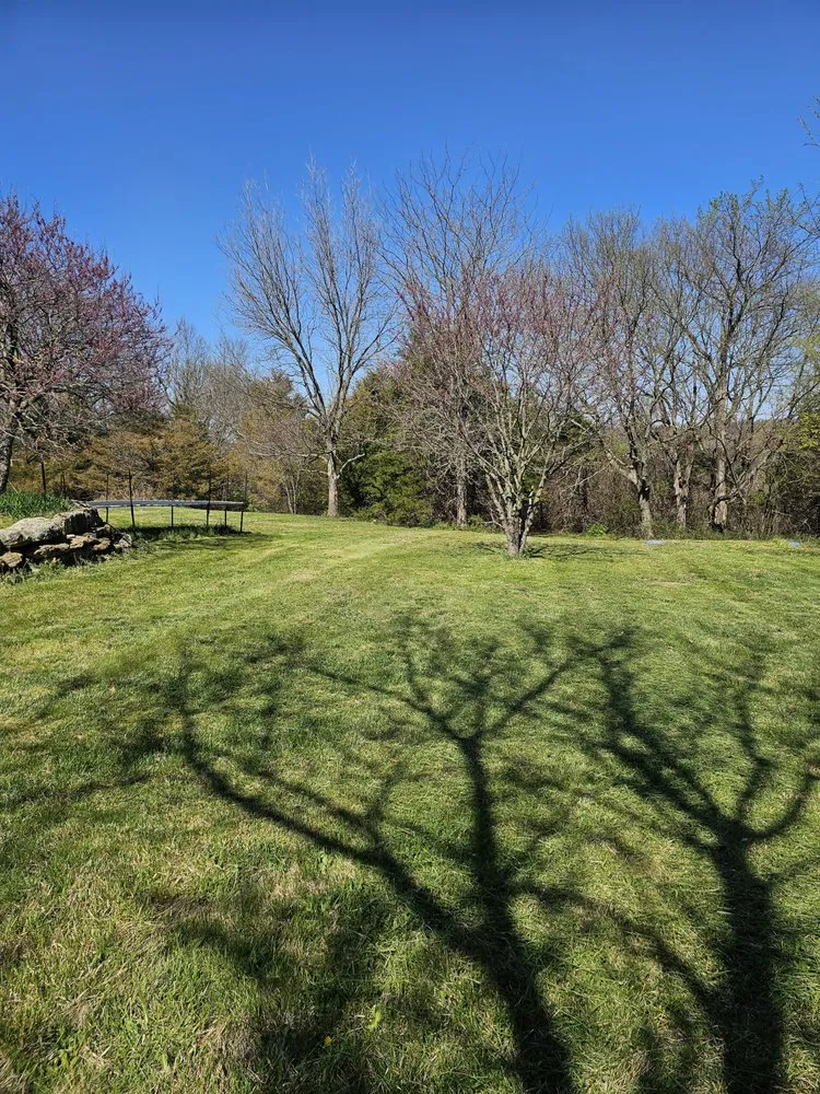 Professional yard maintenance in Lenexa, KS by Turbos Lawn Care