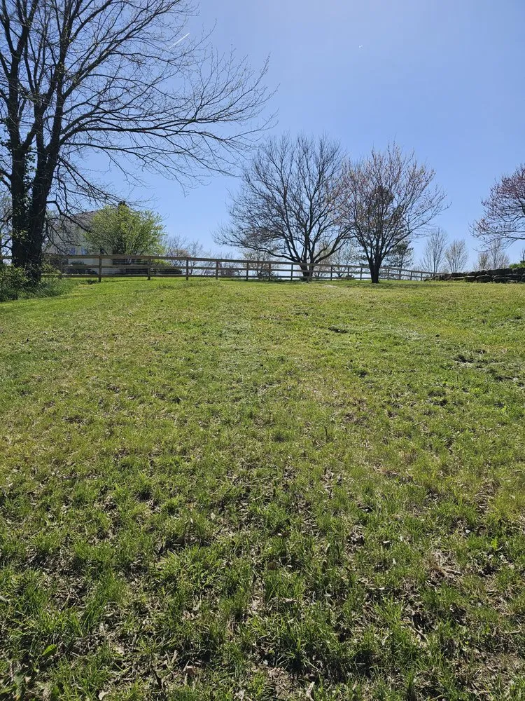 Local yard cleanup service for residential properties in Lenexa, KS by Turbos Lawn Care