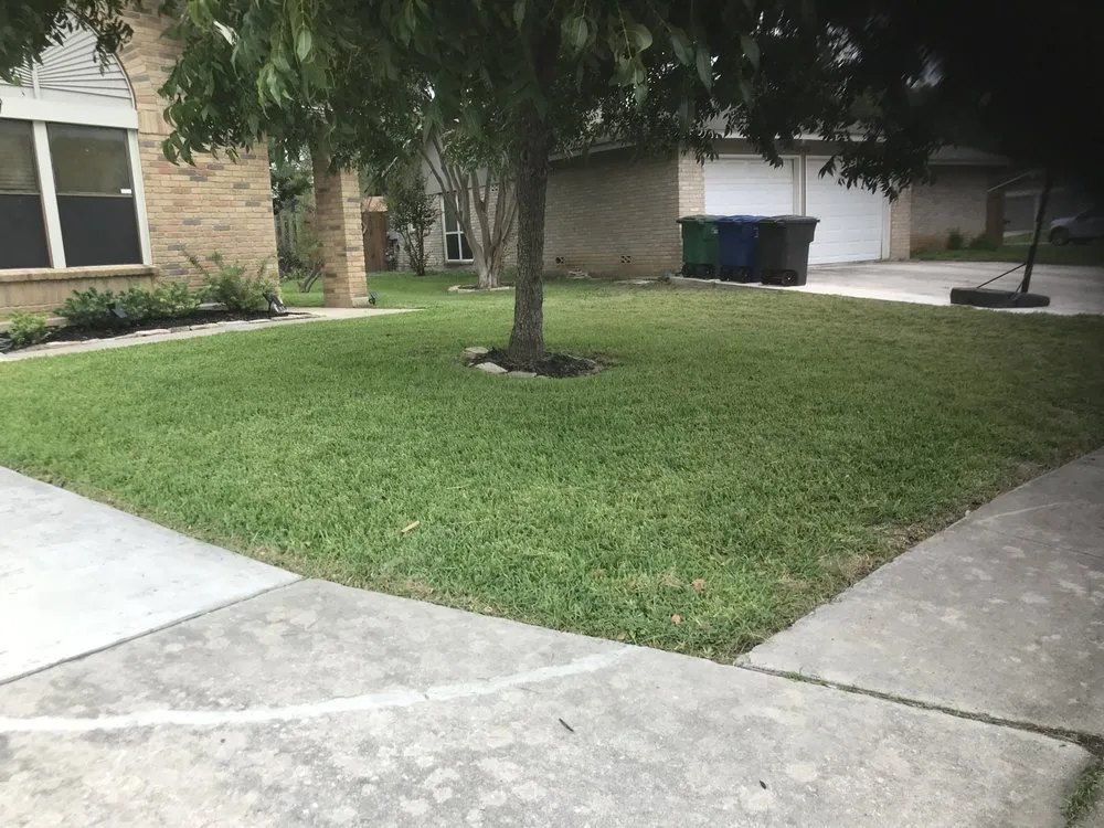 Affordable lawn care service in San Antonio, TX - Turbows
