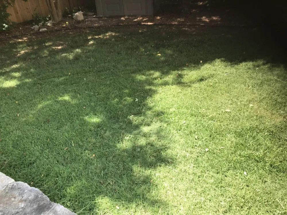 Professional landscape design with custom design in San Antonio, TX by Turbows