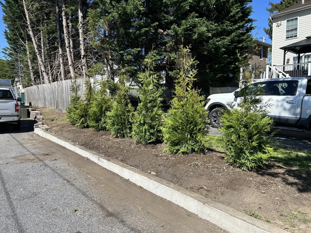 Professional lawn care service experts serving Norwood, PA - Turchiarolos Lawn Service