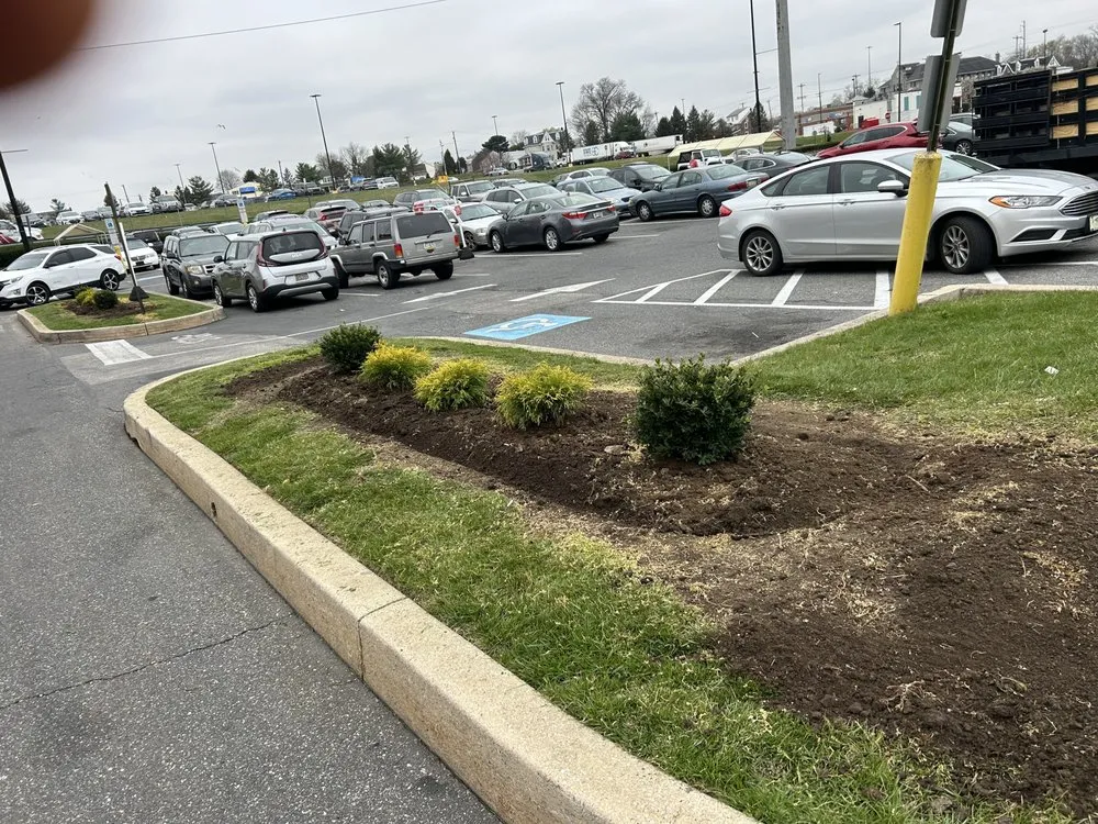 Top-rated yard maintenance experts serving Norwood, PA - Turchiarolos Lawn Service