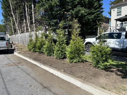 Turchiarolos Lawn Service