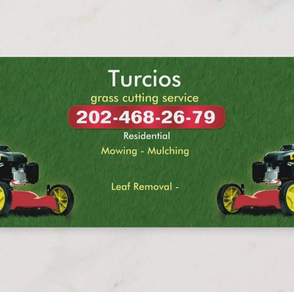 Reliable yard cleanup service near you in Capitol Heights, MD by Turcios Grass Cutting Service