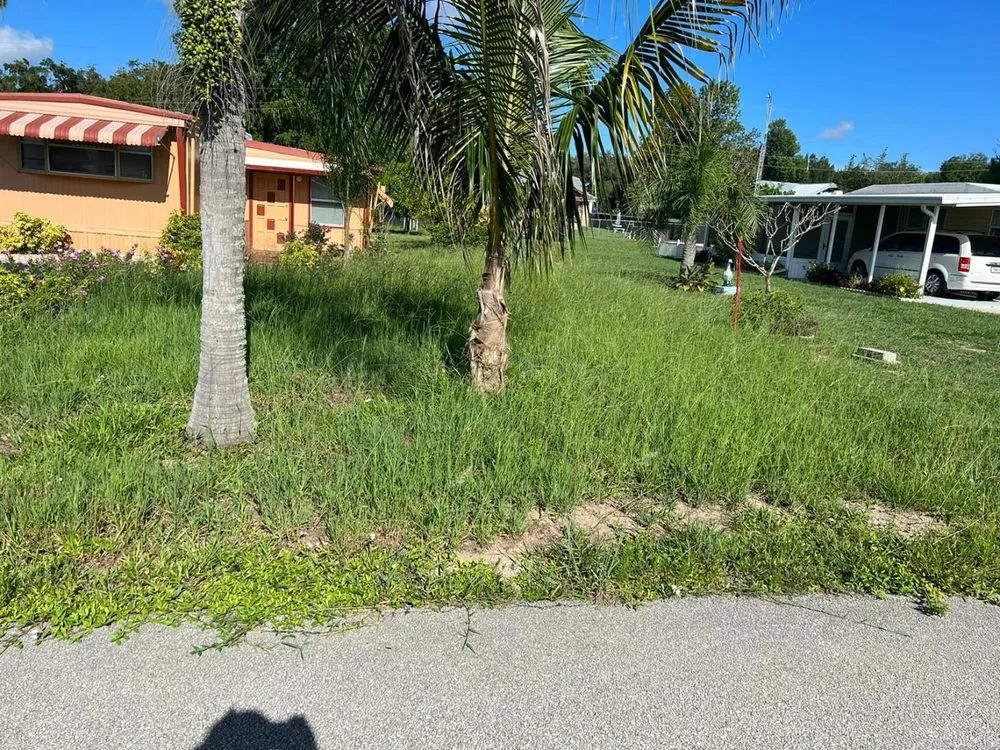 Expert landscape design in Sebring, FL - Turcios Landscaping & Maintenance