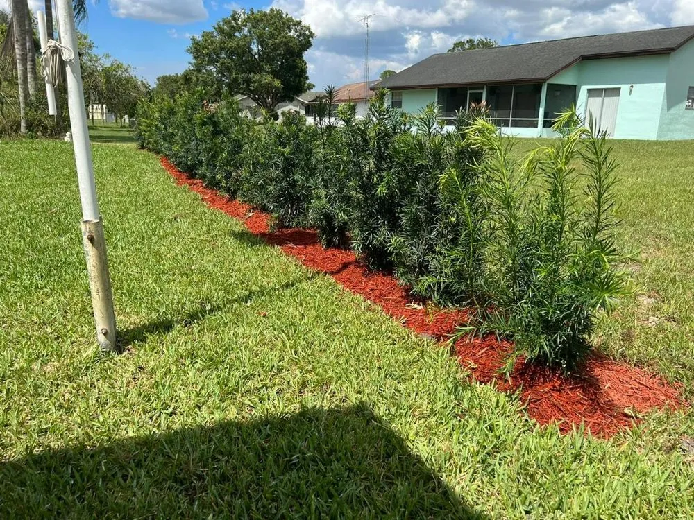 Professional lawn care service for beautiful yards in Sebring, FL by Turcios Landscaping & Maintenance