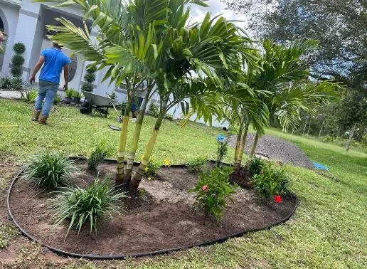 Custom yard maintenance in Sebring, FL by Turcios Landscaping & Maintenance
