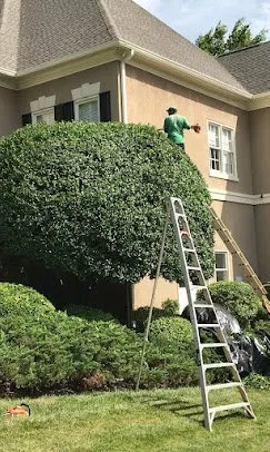 Local residential landscaping for year-round maintenance across Mooresville, NC - Turcios Lawncare & Design