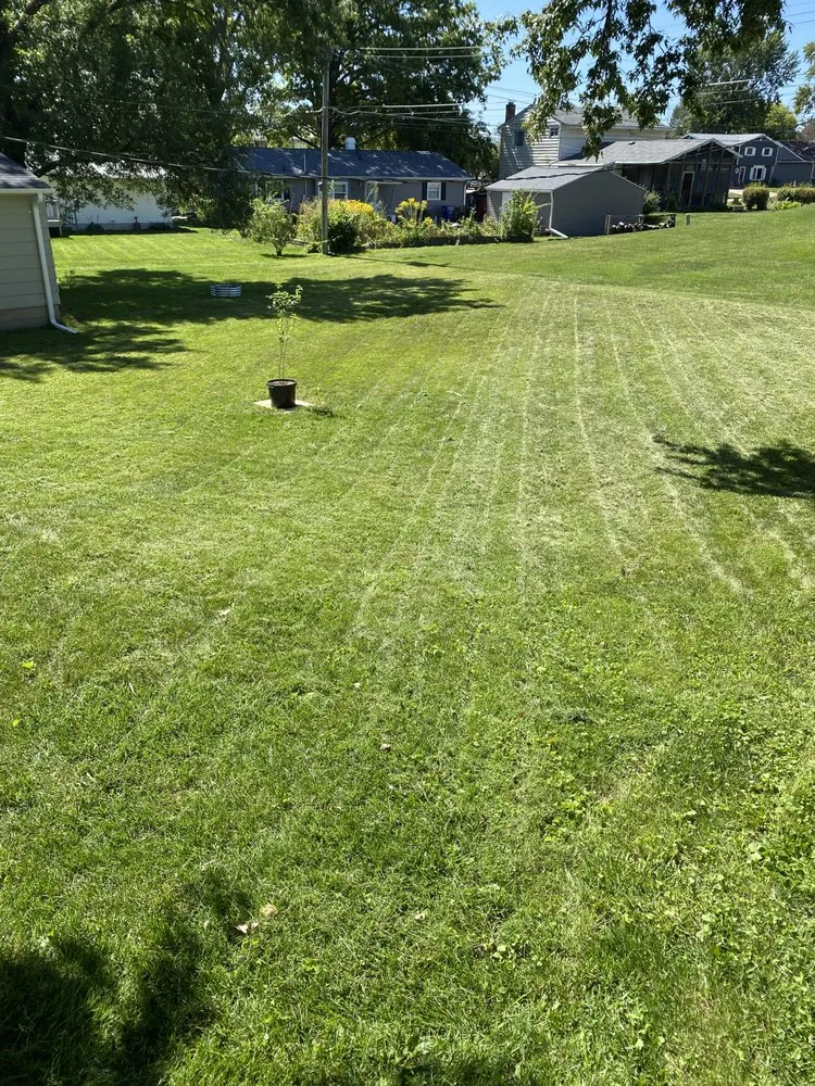 Expert yard maintenance for homes across Davenport, IA - Turcios Outdoor Solutions