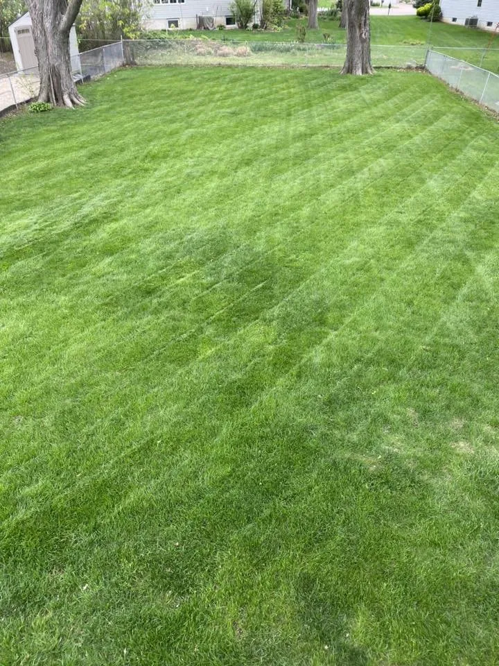 Top-rated yard cleanup service in Davenport, IA - Turcios Outdoor Solutions