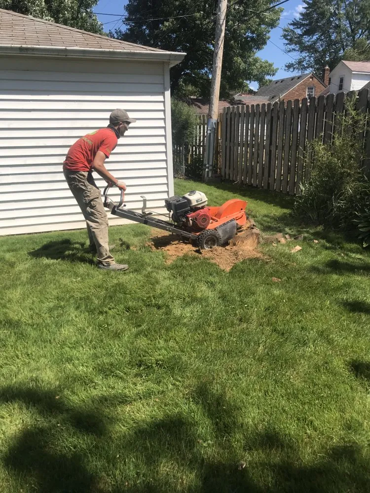 Local landscape design for homes in Warren, MI by Turcotte Landscaping