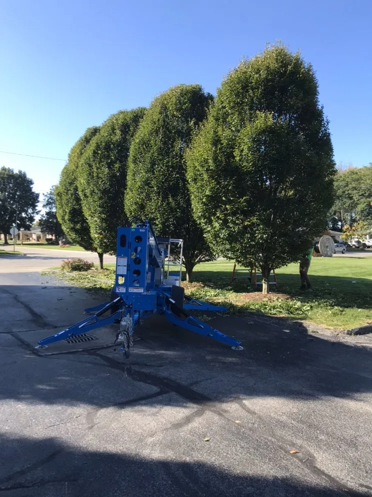 Custom garden landscaping experts serving Warren, MI - Turcotte Landscaping