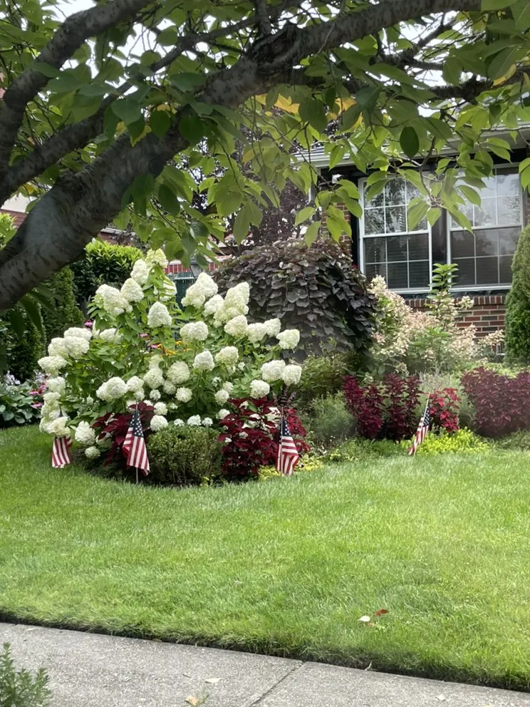 Professional landscape design for outdoor upgrades across Flushing, NY - Turf & Garden Landscaping