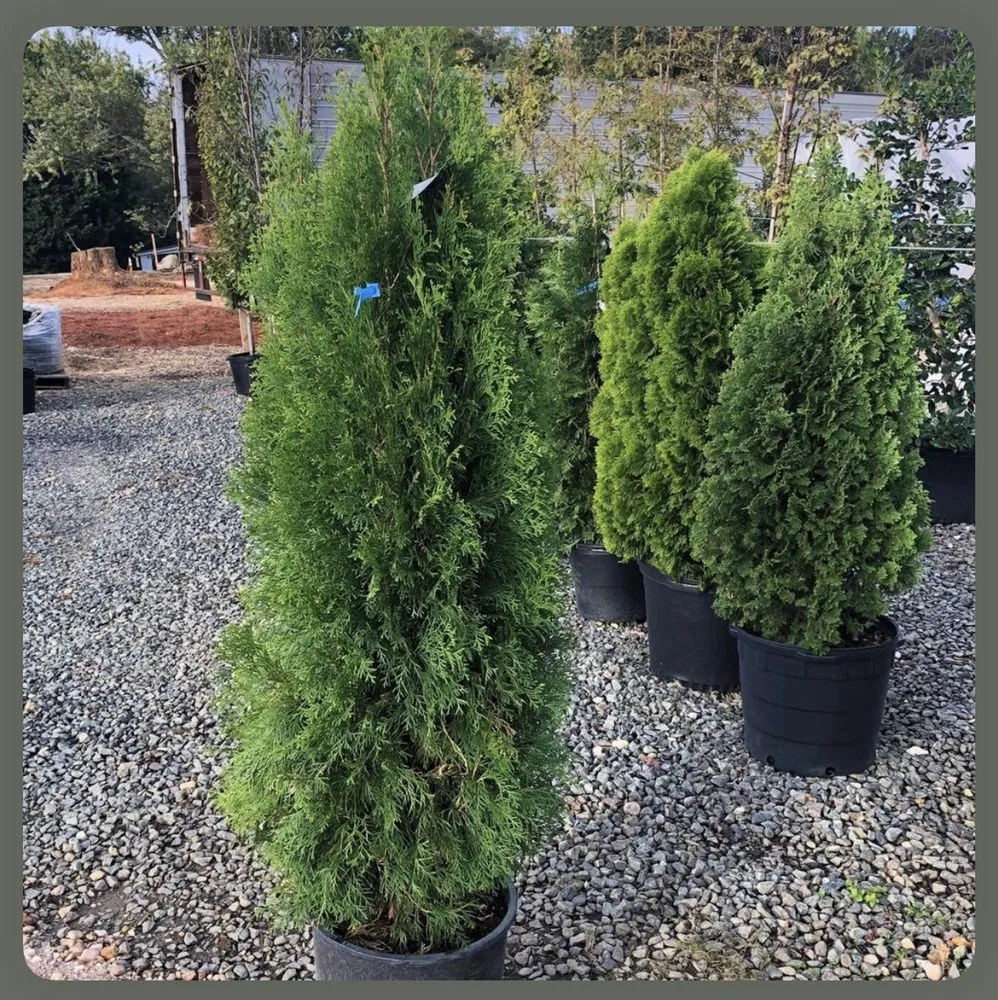 Affordable landscaping services in Flushing, NY - Turf & Garden Landscaping