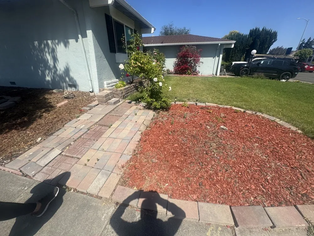 Expert garden landscaping for year-round maintenance across San Jose, CA - Turf & Pave Masters