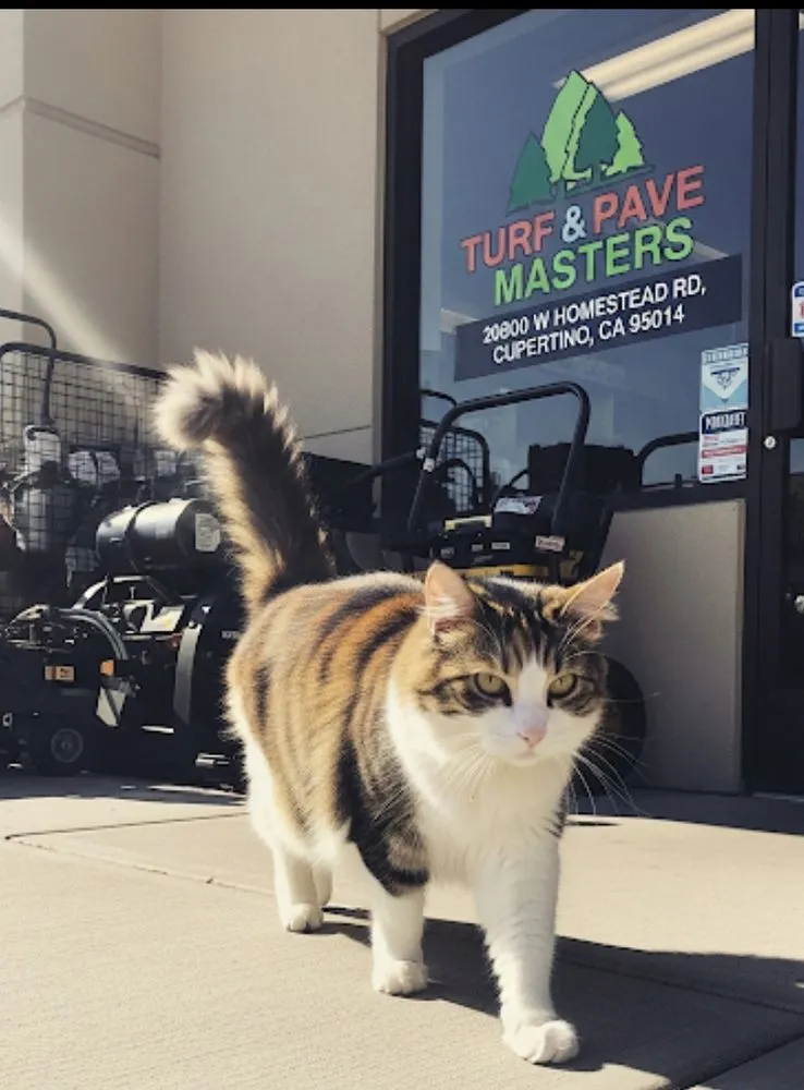 Reliable lawn mowing service in San Jose, CA - Turf & Pave Masters