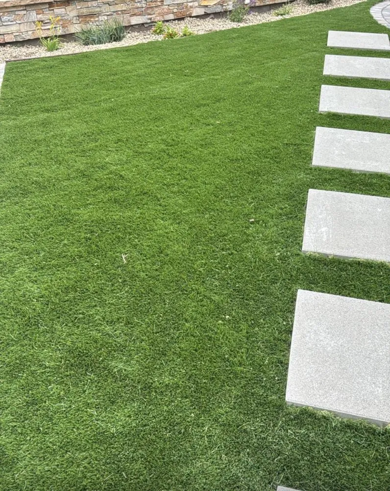 Top-rated yard cleanup service near you in San Jose, CA by Turf & Pave Masters