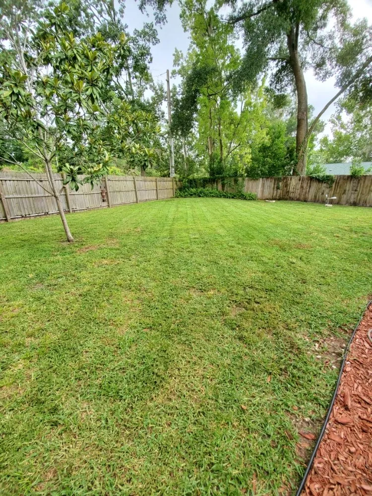 Reliable landscaping services in Orange Park, FL - Turf & Surface