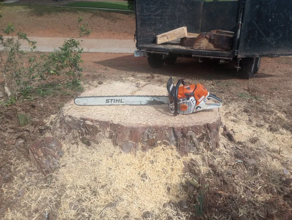 Local yard cleanup service in Conyers, GA by Turf & Tree Wizards