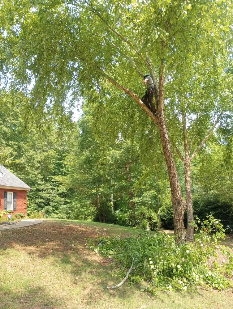 Expert garden landscaping for homes in Conyers, GA by Turf & Tree Wizards