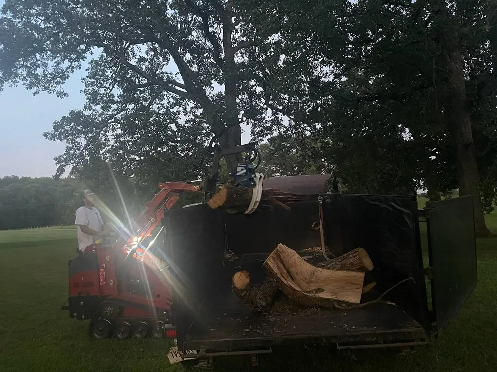 Reliable yard cleanup service in Conyers, GA - Turf & Tree Wizards