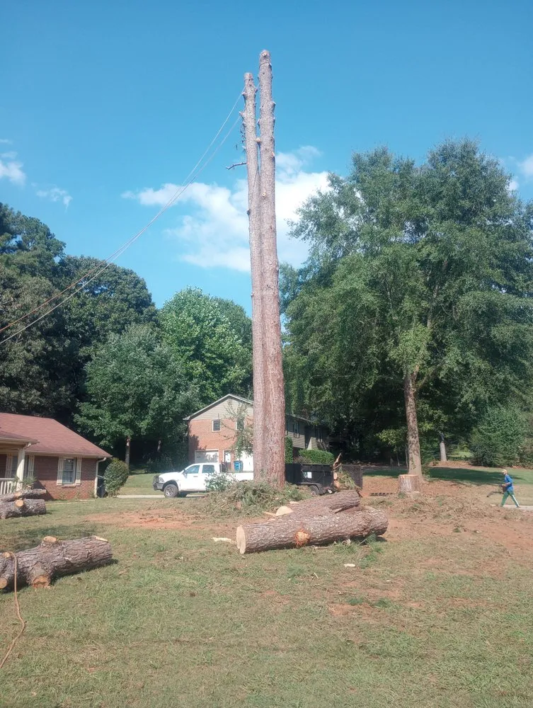 Reliable landscape installation in Conyers, GA - Turf & Tree Wizards