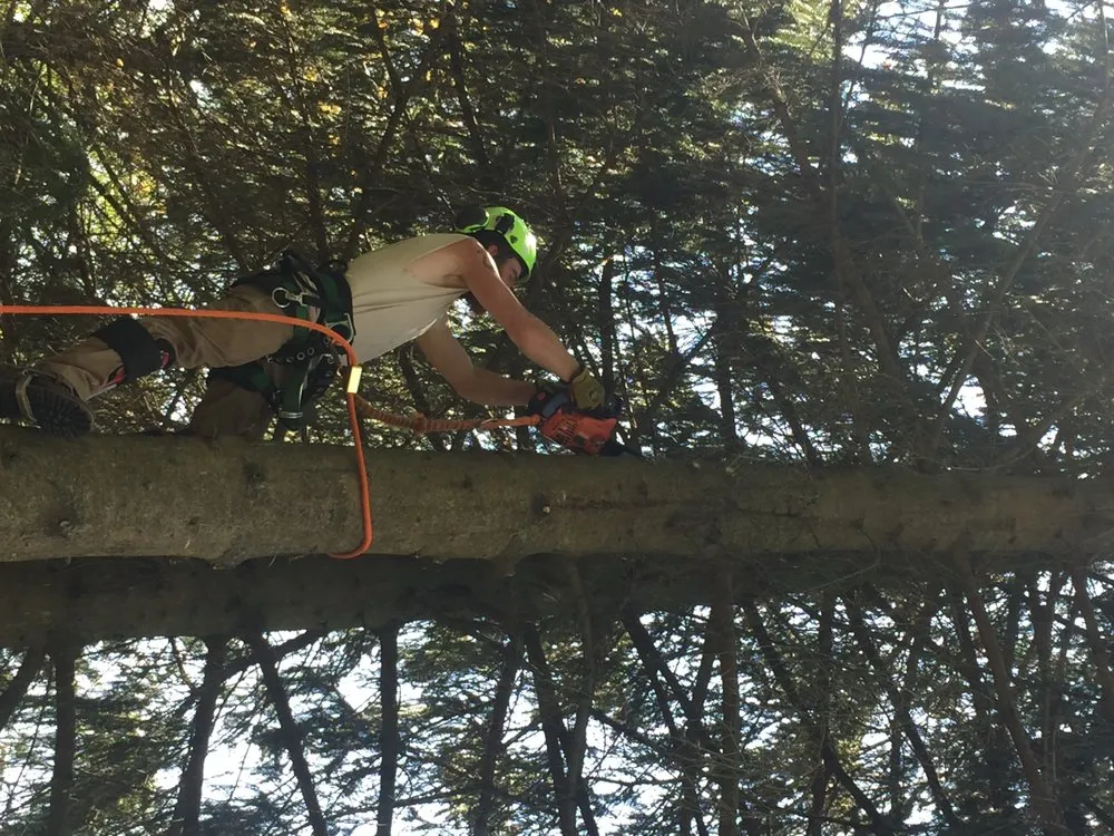 Expert outdoor landscaping near you in West Bend, WI by Turf & Tree Worx