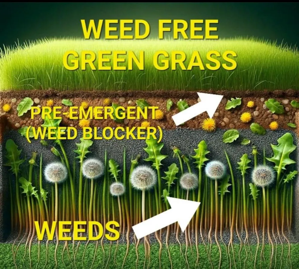 Reliable yard cleanup service for year-round maintenance in Greenville, SC by Turf 212